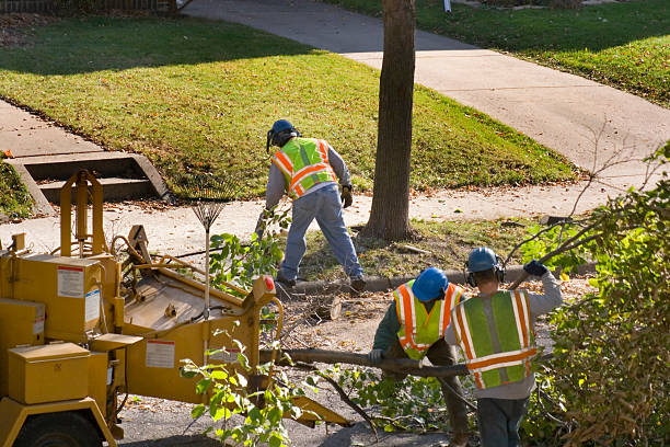 Lawn Irrigation Installation and Maintenance in Ocean Gate, NJ